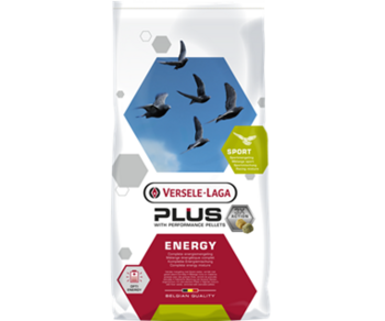 411073 Plus I.C.+ Energy
